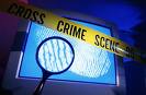 La cybercriminalit�